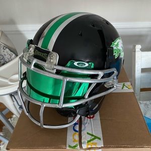 Philadelphia Eagles Custom Full Size Helmet